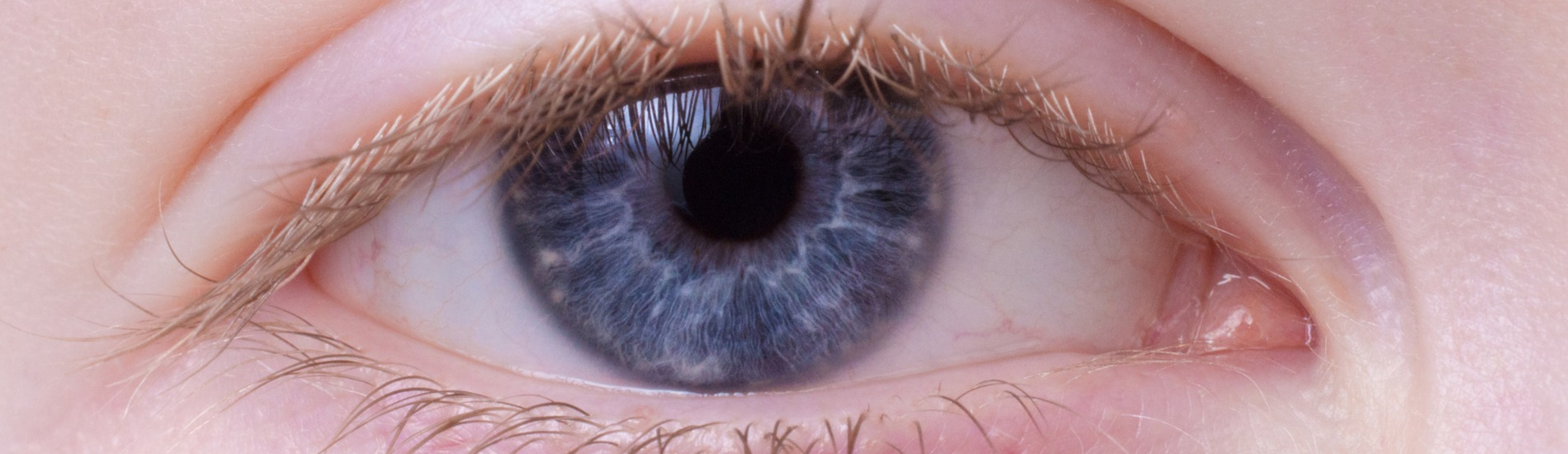 <a href="oferta.html#badanie_wzroku" style="text-shadow: 3px 3px 1px #222222;">Badanie wzroku</a><br/><p>